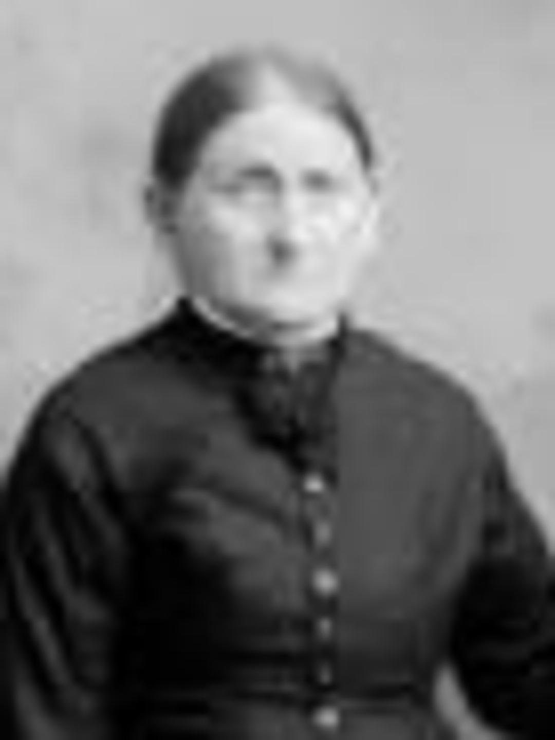 Fredrica Eleonora Bauer (1824 - 1895) Profile